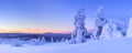 Sunset over frozen trees on a mountain, Finnish Lapland Royalty Free Stock Photo