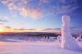 Sunset over frozen trees on a mountain, Levi, Finnish Lapland Royalty Free Stock Photo