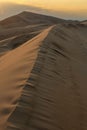 Sunset over the Gobi desert, dune Hongoryn, Mongolia Royalty Free Stock Photo