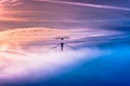 Sunset over Golden Gate Bridge from Alcatraz Island lost in mist with lone soaring bird Royalty Free Stock Photo