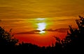 Sunset over the Goose Creek Forest Royalty Free Stock Photo