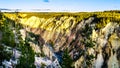 Sunset over the Grand Canyon of the Yellowstone River in Yellowstone National Park in Wyoming, USA Royalty Free Stock Photo