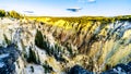 Sunset over the Grand Canyon of the Yellowstone River in Yellowstone National Park in Wyoming, USA Royalty Free Stock Photo