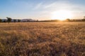 Sunset over grass in Grampians. Royalty Free Stock Photo