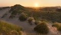 Sunset Over Grassy Sand Dunes