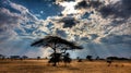 Sunset over the great Selous Game Reserve Tanzania Royalty Free Stock Photo