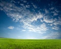 Sunset over green crops Royalty Free Stock Photo