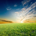 Sunset over green crops Royalty Free Stock Photo