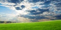 Sunset over green crops Royalty Free Stock Photo