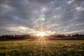 Sunset over green farm field Royalty Free Stock Photo