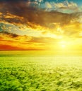 Sunset over green field Royalty Free Stock Photo