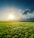 Sunset over green field Royalty Free Stock Photo