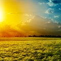 Sunset over green field Royalty Free Stock Photo