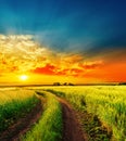 Sunset over green field with road Royalty Free Stock Photo