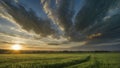 a sunset over a green field with the sun shining through the clouds, wind moving green grass Royalty Free Stock Photo