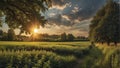 a sunset over a green field with the sun shining through the clouds, wind moving green grass Royalty Free Stock Photo