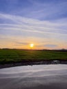Sunset Over Green Fields with Sky Reflection in Water Royalty Free Stock Photo