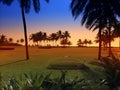 Sunset over a green lawn with palm trees. Goa. Royalty Free Stock Photo