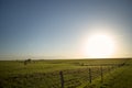 Sunset over a green ranch with cowboys Royalty Free Stock Photo