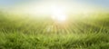 Sunset over green summer autumn farm fields and grass