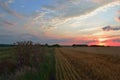 Sunset over harvested wheat with thistle not foreground