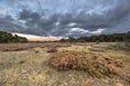 Sunset over Hoge Veluwe heathland