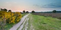 Sunset over Heathland near Hilversum