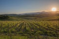 Sunset over the hills of Tuscany, Italy Royalty Free Stock Photo