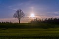 Sunset over the hilly field with lonely tree on horizon