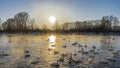 Sunset over the ice-free swan lake. Royalty Free Stock Photo