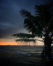 Sunset over the Indian Ocean with the palm tree in Galle, Sri Lanka, March 2019 Royalty Free Stock Photo