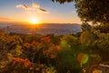 Sunset over Kyoto with a red mapple