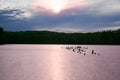 Sunset over the lake in the background of the forest. Royalty Free Stock Photo