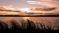 Sunset Over Lake With Cattails