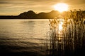 Sunset over a lake with hills and grass. Lago Maggiore Royalty Free Stock Photo