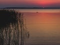 Sunset over lake with reeds and grasses in foreground Royalty Free Stock Photo