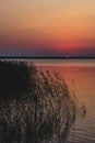 Sunset over lake with reeds and grasses in foreground Royalty Free Stock Photo