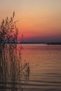 Sunset over lake with reeds and grasses in foreground Royalty Free Stock Photo