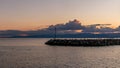 Sunset over the lake. Seagull perching at sunrise. Group of black headed gull standing on rocks in summer. Chroicocephalus Royalty Free Stock Photo