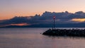 Sunset over the lake. Seagull perching at sunrise. Group of black headed gull standing on rocks in summer. Chroicocephalus