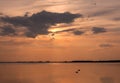 Sunset over the lake with silhouettes of two ducks