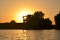 Sunset over lake, trees sillhouette Royalty Free Stock Photo