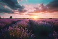 Sunset over lavender field scenery. Generate Ai Royalty Free Stock Photo