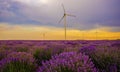 Sunset over lavender field with wind turbine Royalty Free Stock Photo