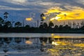 Sunset over the Lily Pads Royalty Free Stock Photo