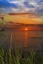 Sunset over loop head with wild thistles Royalty Free Stock Photo