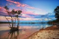 Sunset over mangrove tree Royalty Free Stock Photo