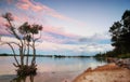 Sunset over mangrove tree Royalty Free Stock Photo