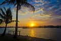 Sunset over marina with palmtree