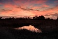 Sunset over Marsh Grass at Baylands Nature Preserve Royalty Free Stock Photo